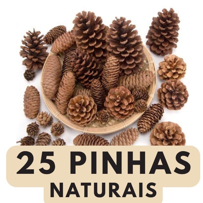 Kit com 25 Pinhas Naturais Esterilizadas para Enriquecimento Pet
